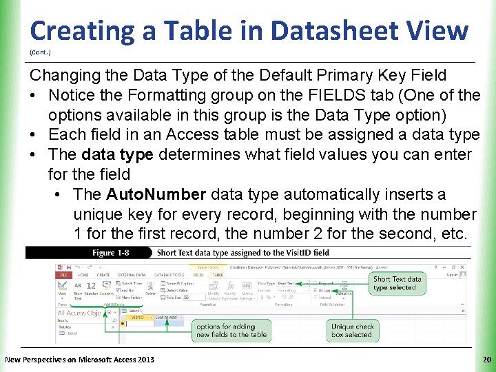 XP Creating a Table in Datasheet View (Cont. ) Changing the Data Type of