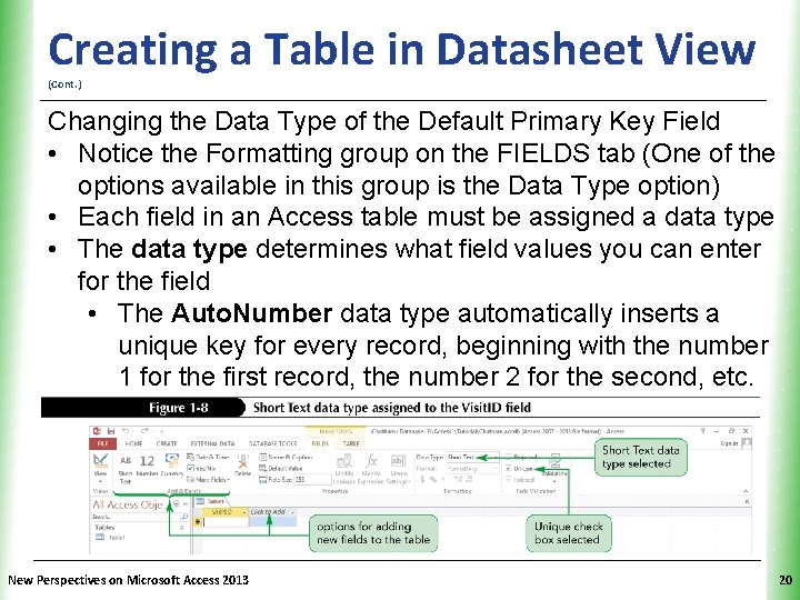 XP Creating a Table in Datasheet View (Cont. ) Changing the Data Type of XP Creating a Table in Datasheet View (Cont. ) Changing the Data Type of