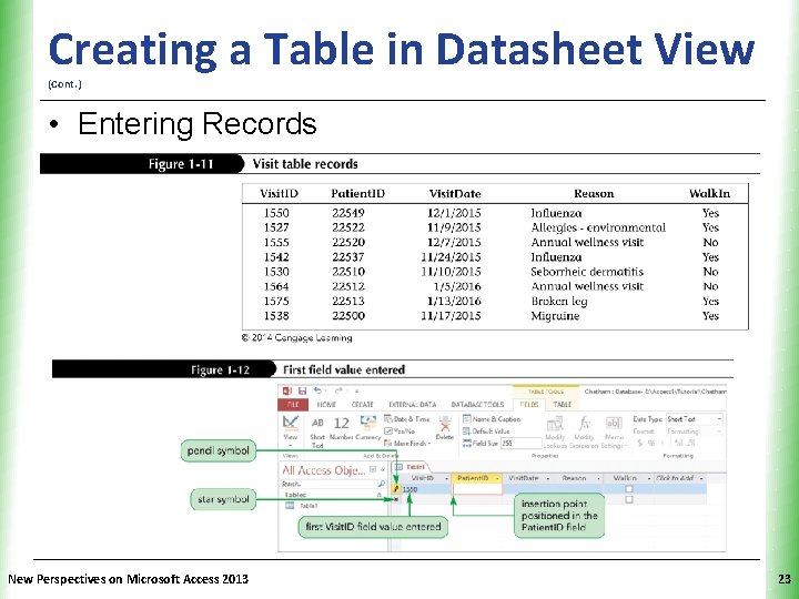 XP Creating a Table in Datasheet View (Cont. ) • Entering Records New Perspectives