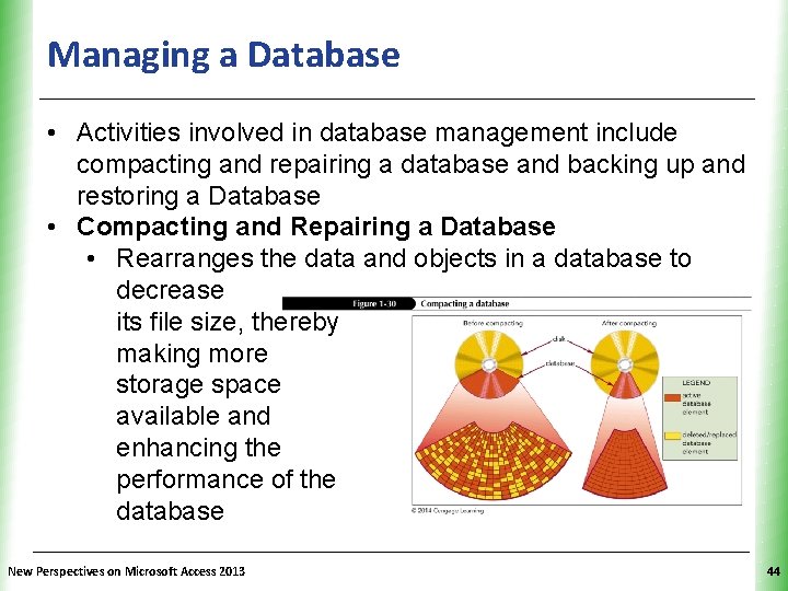 Managing a Database XP • Activities involved in database management include compacting and repairing Managing a Database XP • Activities involved in database management include compacting and repairing