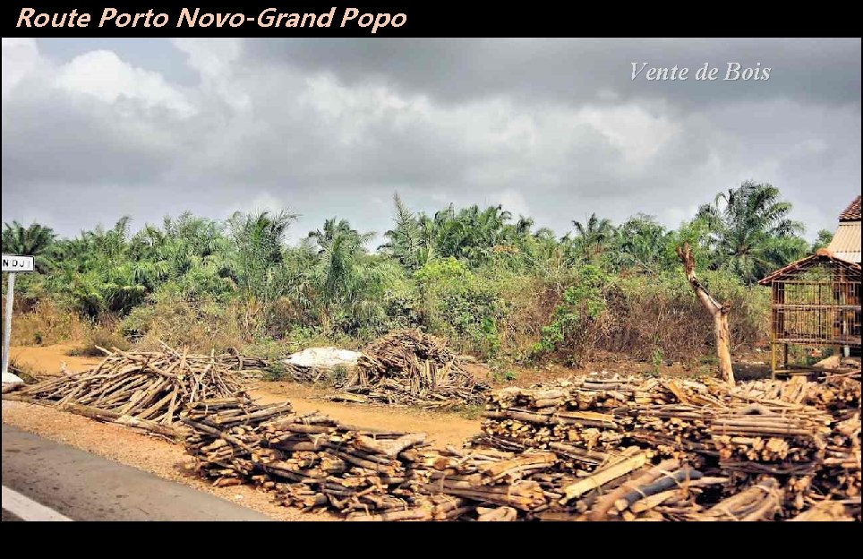 Route Porto Novo-Grand Popo Vente de Bois 