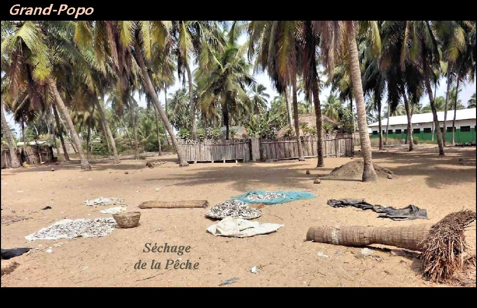 Grand-Popo Séchage de la Pêche 