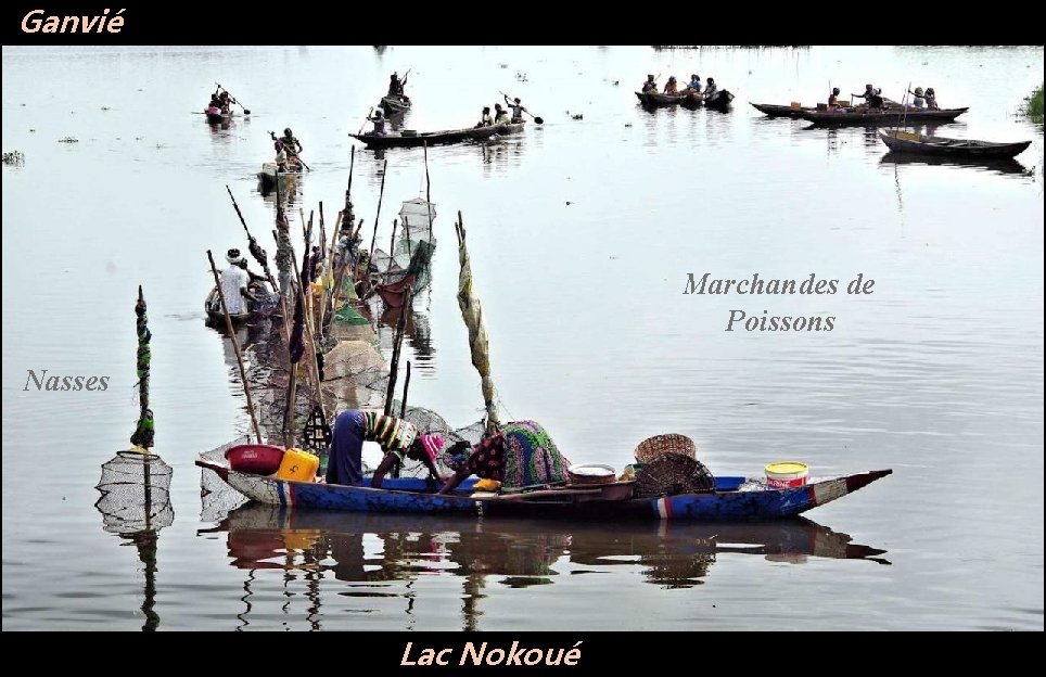 Ganvié Marchandes de Poissons Nasses Lac Nokoué 