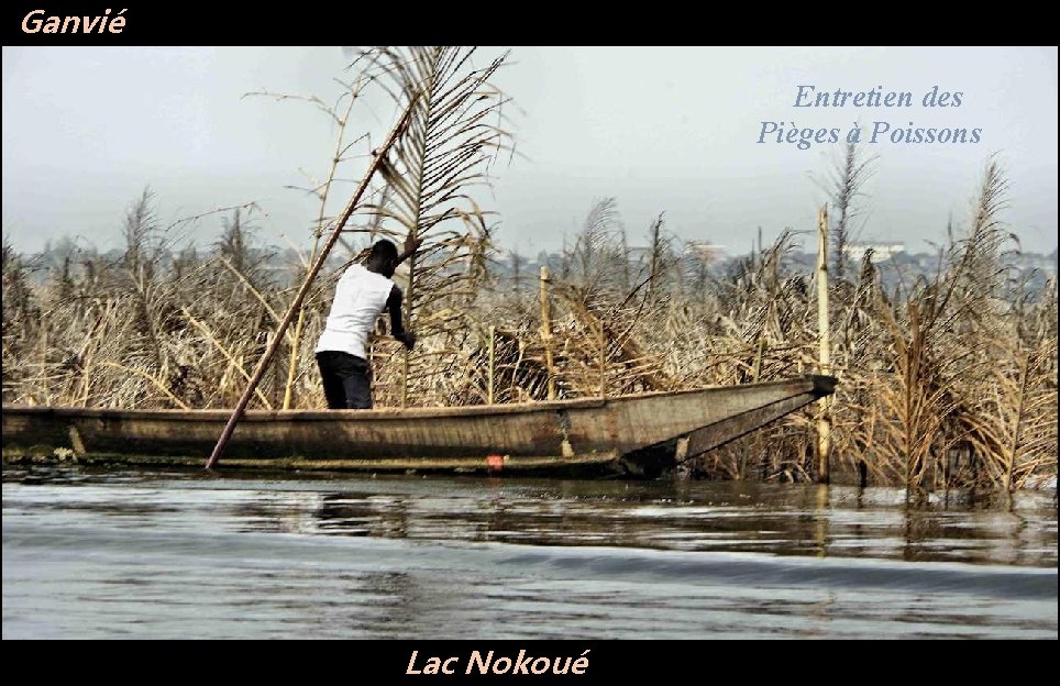 Ganvié Entretien des Pièges à Poissons Lac Nokoué 