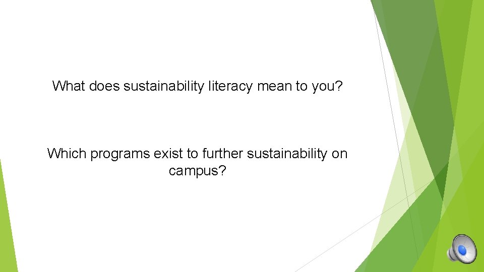 What does sustainability literacy mean to you? Which programs exist to further sustainability on