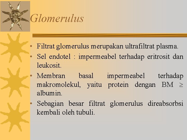Glomerulus • Filtrat glomerulus merupakan ultrafiltrat plasma. • Sel endotel : impermeabel terhadap eritrosit