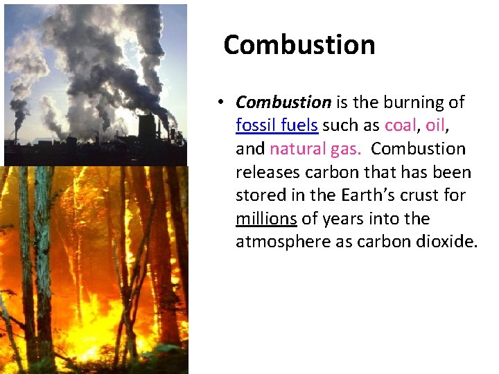 Combustion • Combustion is the burning of fossil fuels such as coal, oil, and