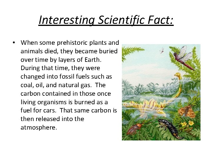 Interesting Scientific Fact: • When some prehistoric plants and animals died, they became buried