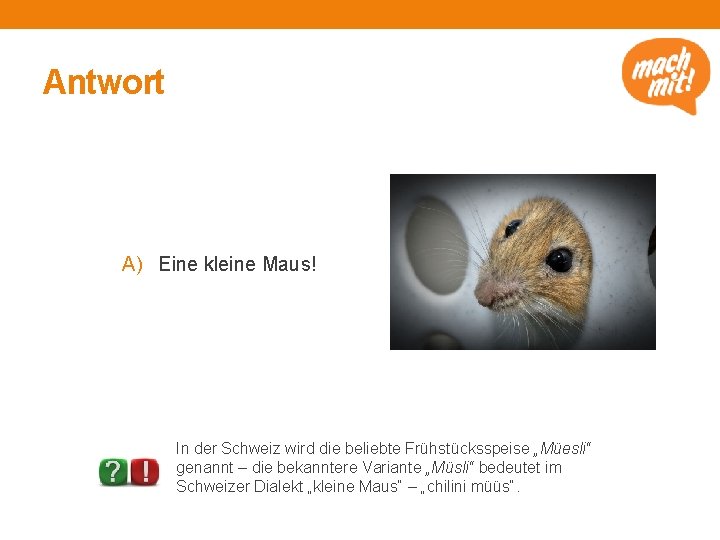 Antwort A) Eine kleine Maus! https: //creativ ecommons. or g/licenses/bync/2. 0/, Fotograf: Armin Rodler