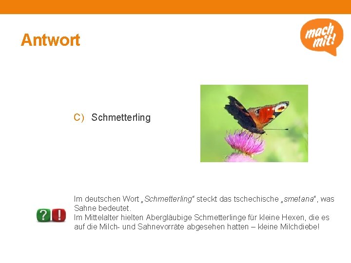 Antwort C) Schmetterling http: //www. pixeli o. de/media/7409 81, luise / pixelio. de Im