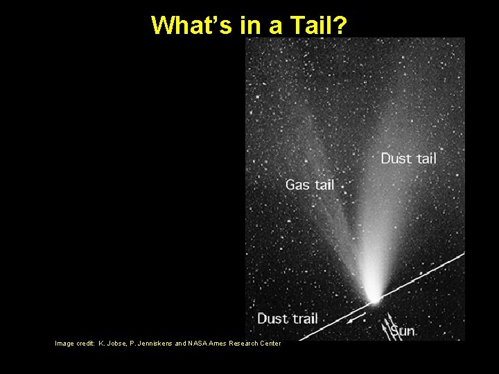 What’s in a Tail? Image credit: K. Jobse, P. Jenniskens and NASA Ames Research