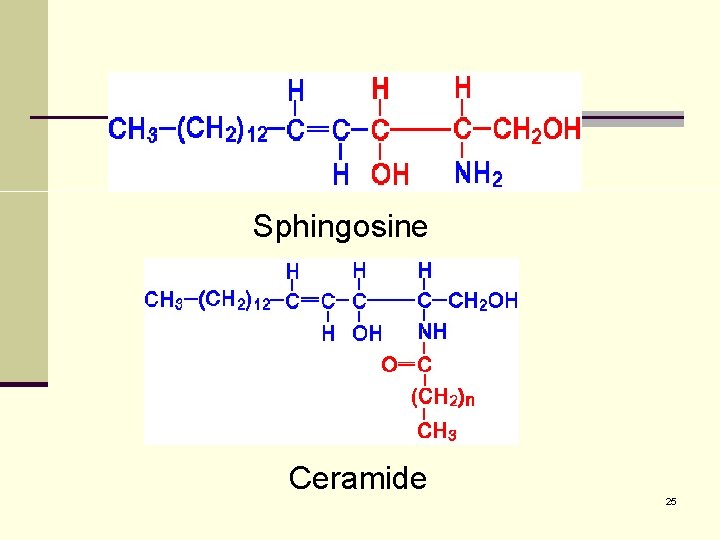 Sphingosine Ceramide 25 