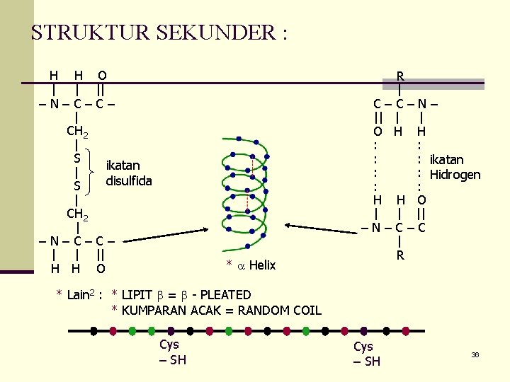 STRUKTUR SEKUNDER : H H O | | || –N–C–C– | CH 2 |