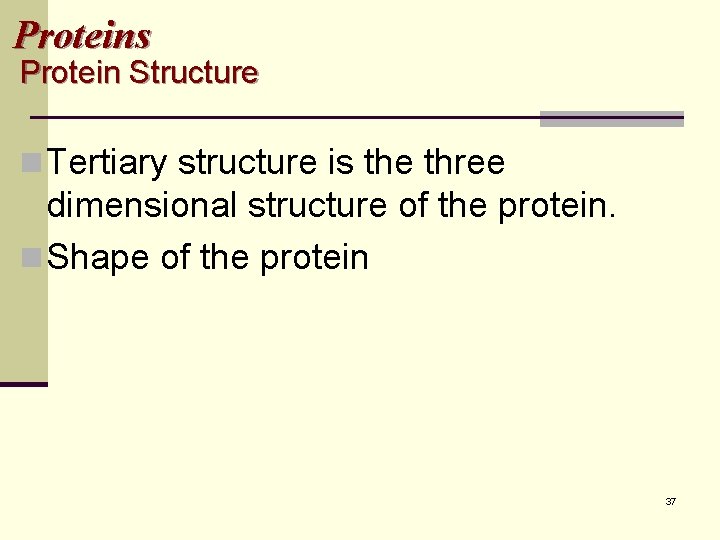 Proteins Protein Structure n Tertiary structure is the three dimensional structure of the protein.