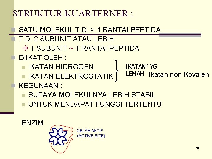 STRUKTUR KUARTERNER : n SATU MOLEKUL T. D. > 1 RANTAI PEPTIDA n T.