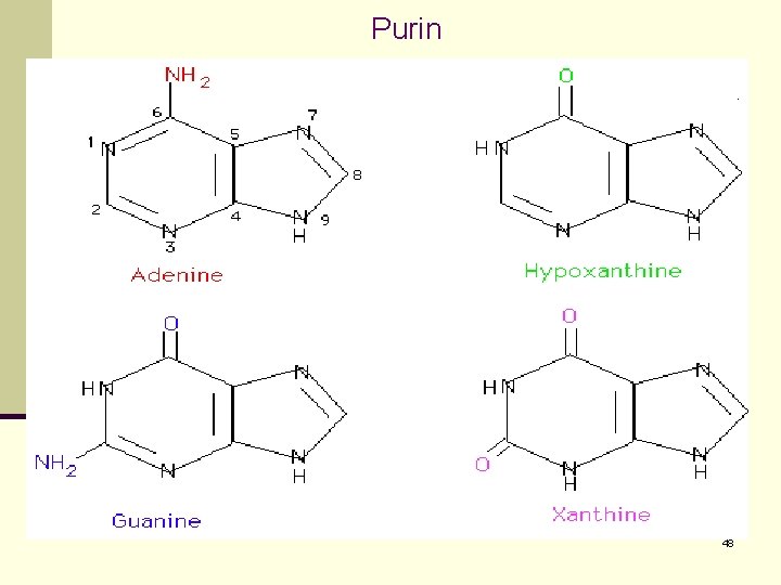 Purin 48 