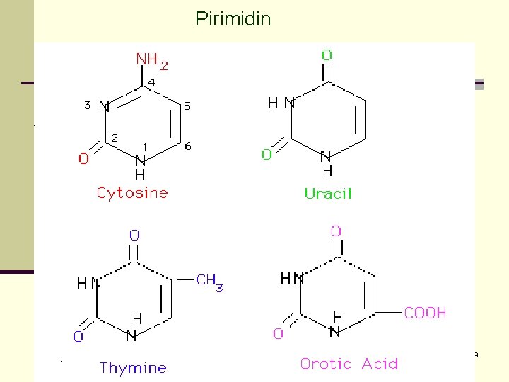 Pirimidin 49 