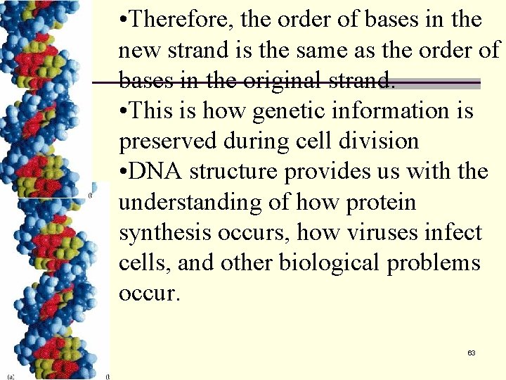  • Therefore, the order of bases in the new strand is the same