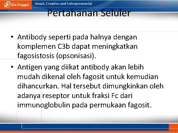 Pertahanan Seluler • Antibody seperti pada halnya dengan komplemen C 3 b dapat meningkatkan