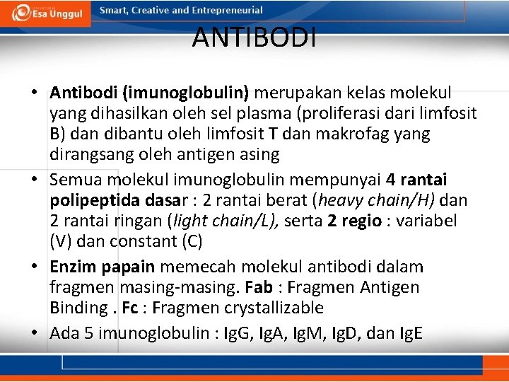 ANTIBODI • Antibodi (imunoglobulin) merupakan kelas molekul yang dihasilkan oleh sel plasma (proliferasi dari