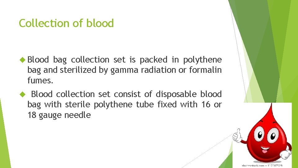 Collection of blood Blood bag collection set is packed in polythene bag and sterilized