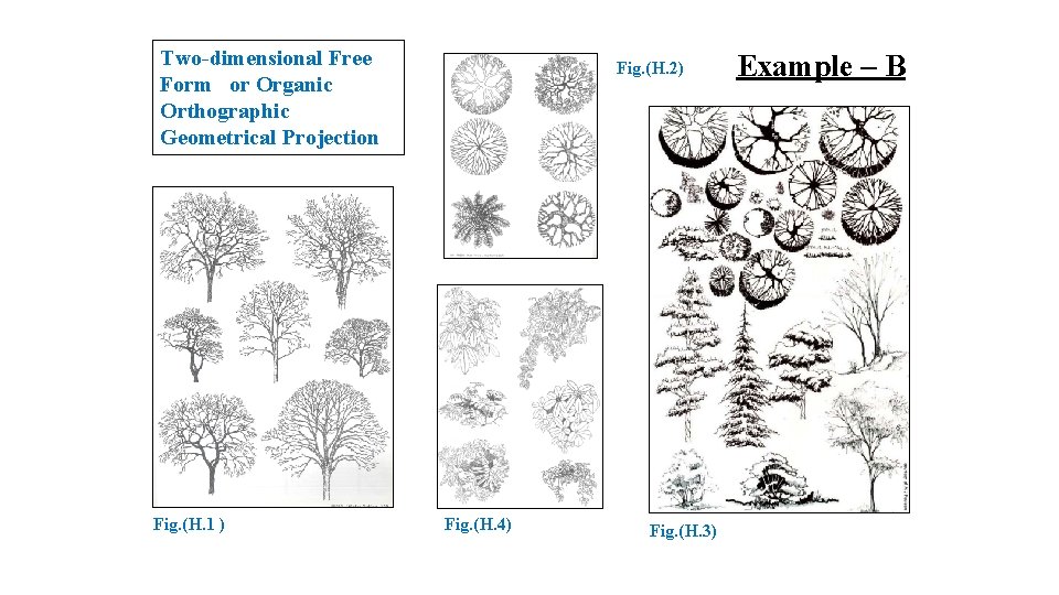 Two-dimensional Free Form or Organic Orthographic Geometrical Projection Fig. (H. 1 ) Fig. (H.