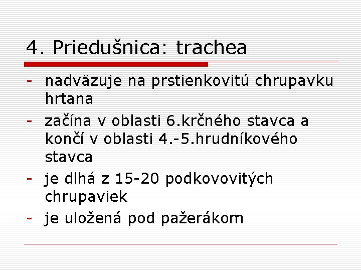 4. Priedušnica: trachea - nadväzuje na prstienkovitú chrupavku hrtana - začína v oblasti 6.