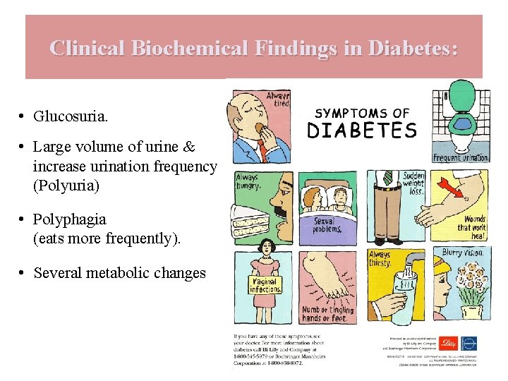 Clinical Biochemical Findings in Diabetes: • Glucosuria. • Large volume of urine & increase
