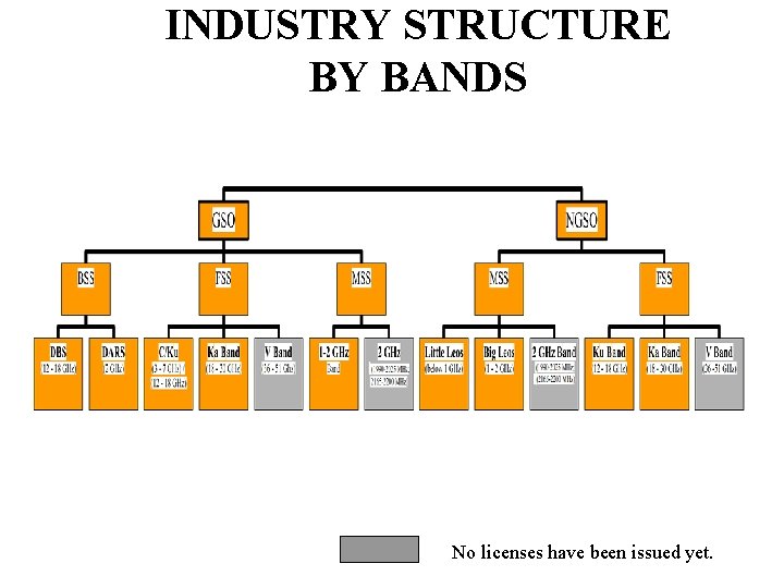 INDUSTRY STRUCTURE BY BANDS No licenses have been issued yet. 