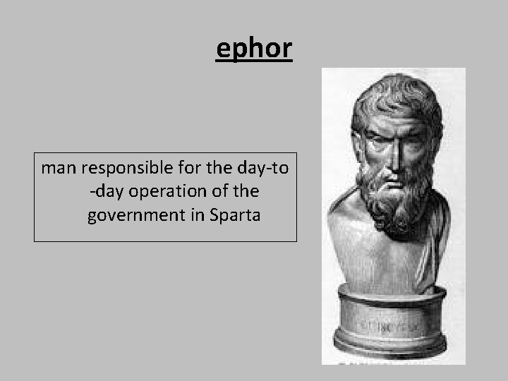 ephor man responsible for the day-to -day operation of the government in Sparta 