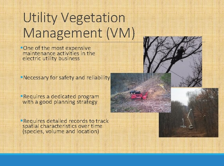 Utility Vegetation Management (VM) §One of the most expensive maintenance activities in the electric