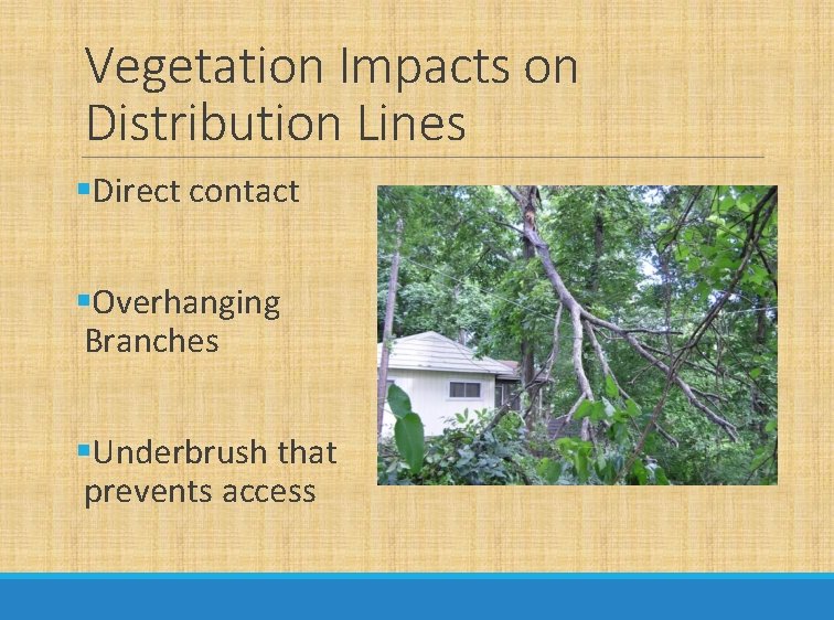 Vegetation Impacts on Distribution Lines §Direct contact §Overhanging Branches §Underbrush that prevents access 