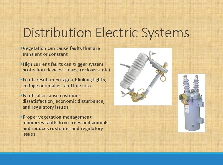 Distribution Electric Systems §Vegetation cause faults that are transient or constant §High current faults