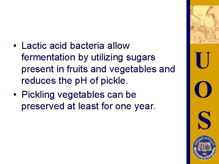  • Lactic acid bacteria allow fermentation by utilizing sugars present in fruits and