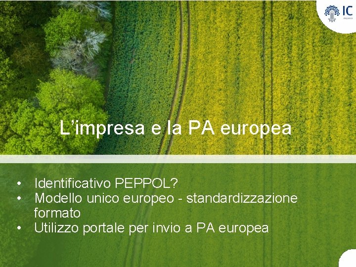 L’impresa e la PA europea • Identificativo PEPPOL? • Modello unico europeo - standardizzazione