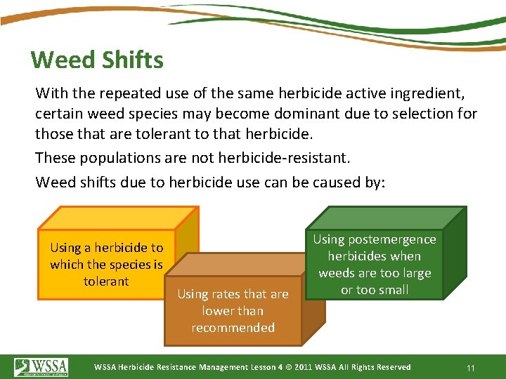 Weed Shifts With the repeated use of the same herbicide active ingredient, certain weed
