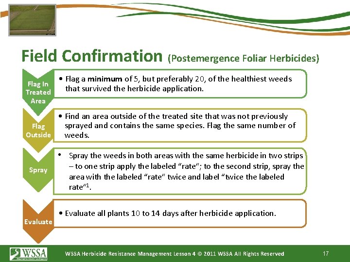 Field Confirmation (Postemergence Foliar Herbicides) Flag In Treated Area • Flag a minimum of