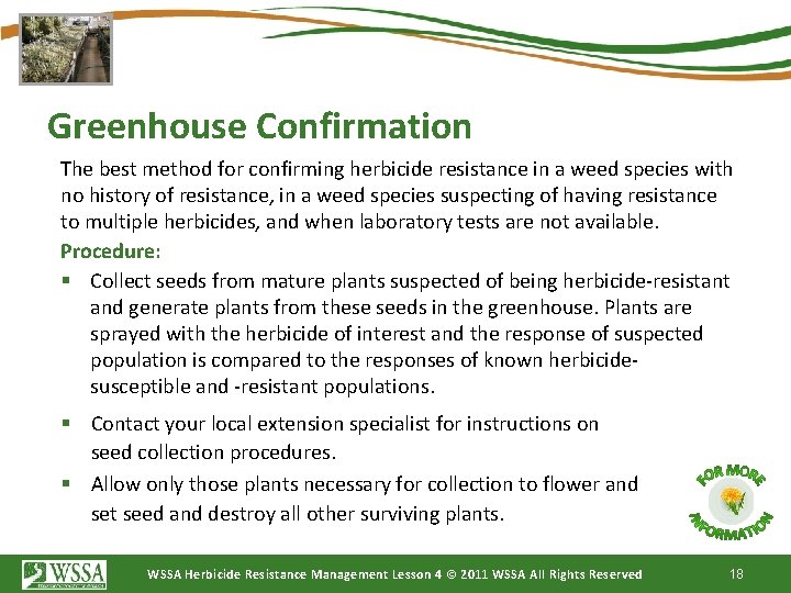Greenhouse Confirmation The best method for confirming herbicide resistance in a weed species with