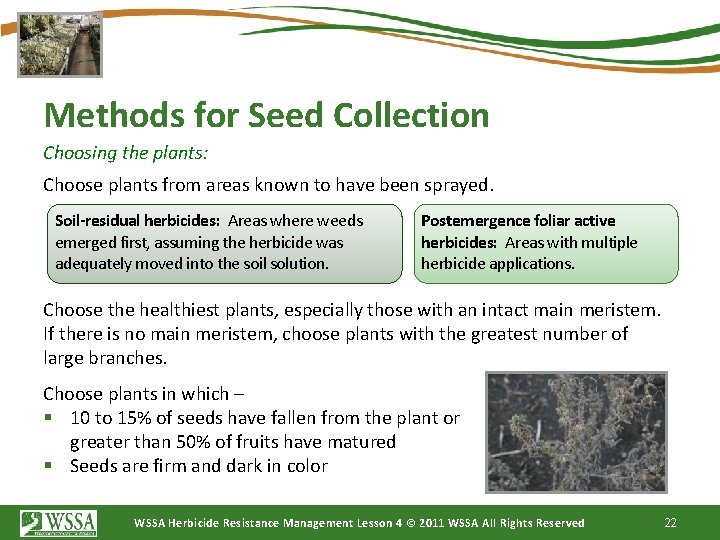 Methods for Seed Collection Choosing the plants: Choose plants from areas known to have