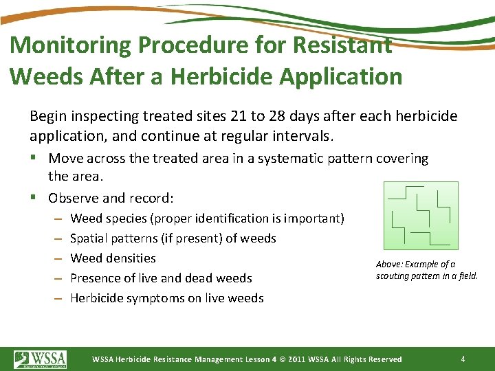 Monitoring Procedure for Resistant Weeds After a Herbicide Application Begin inspecting treated sites 21