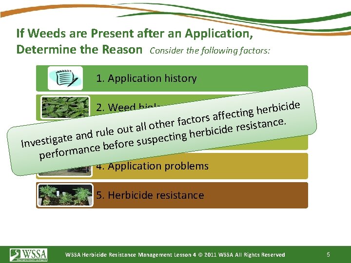 If Weeds are Present after an Application, Determine the Reason Consider the following factors: