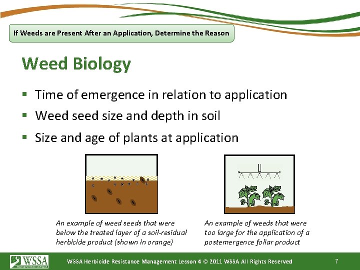 If Weeds are Present After an Application, Determine the Reason Weed Biology § Time