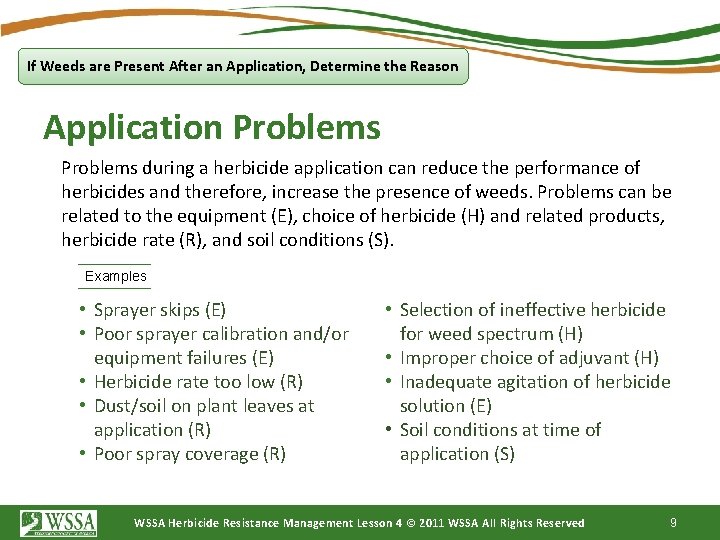 If Weeds are Present After an Application, Determine the Reason Application Problems during a