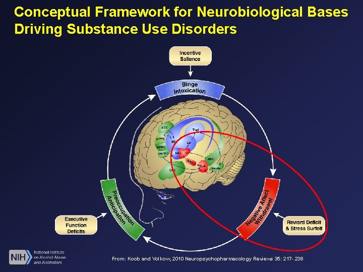 Conceptual Framework for Neurobiological Bases Driving Substance Use Disorders From: Koob and Volkow, 2010