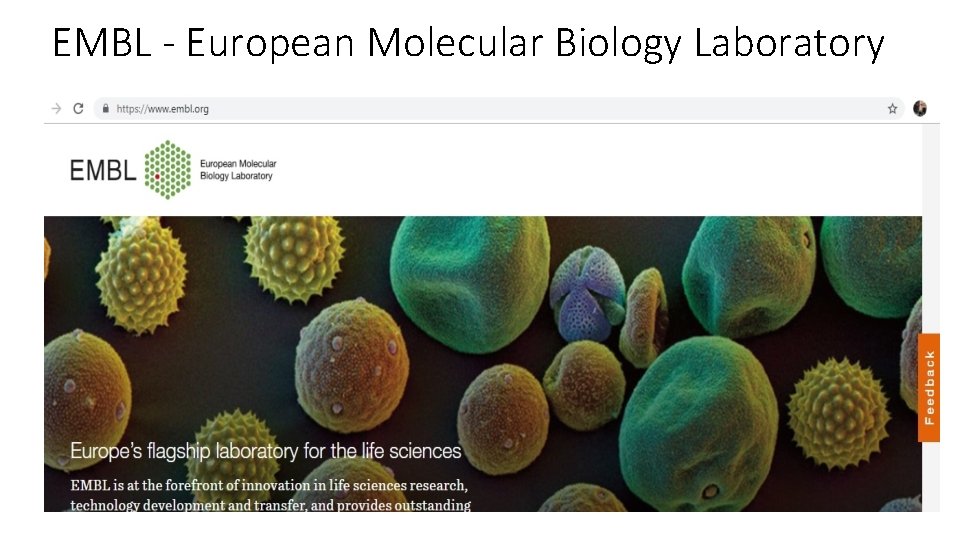 EMBL - European Molecular Biology Laboratory EMBL - European Molecular Biology Laboratory