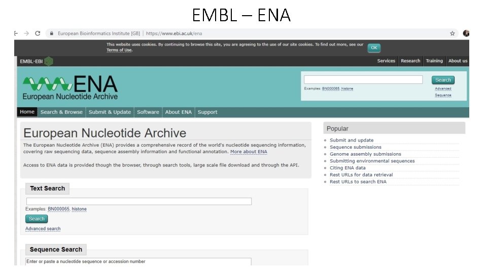 EMBL – ENA EMBL – ENA