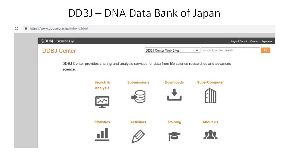 DDBJ – DNA Data Bank of Japan DDBJ – DNA Data Bank of Japan