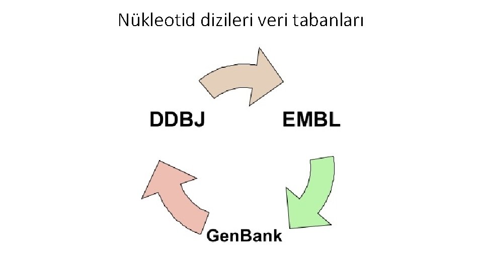 Nükleotid dizileri veri tabanları Nükleotid dizileri veri tabanları