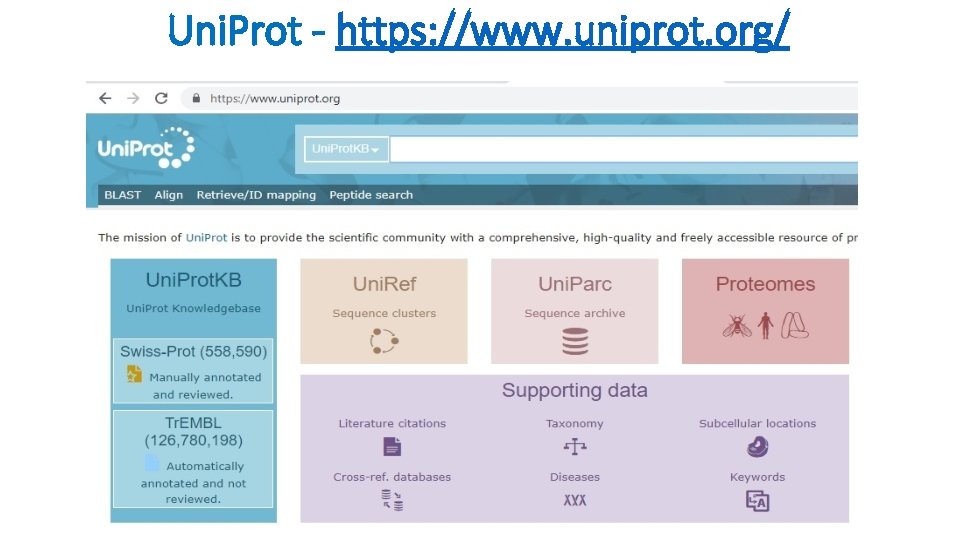 Uni. Prot - https: //www. uniprot. org/ Uni. Prot - https: //www. uniprot. org/