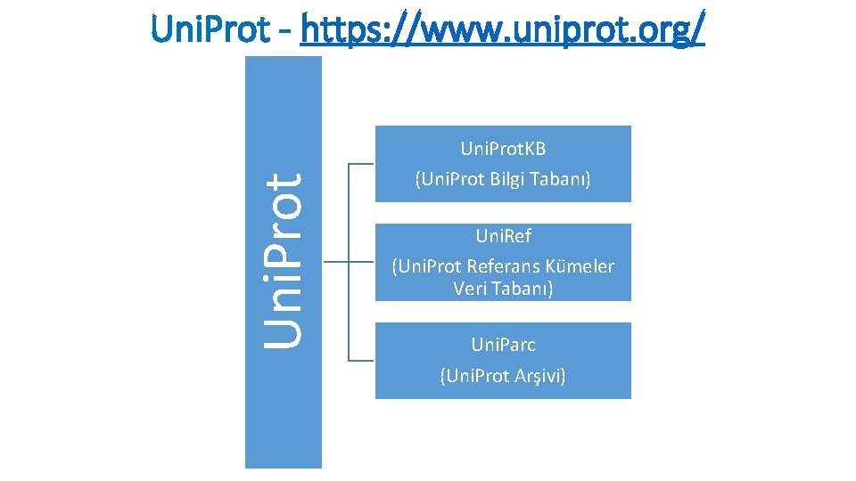 Uni. Prot - https: //www. uniprot. org/ Uni. Prot. KB (Uni. Prot Bilgi Tabanı) Uni. Prot - https: //www. uniprot. org/ Uni. Prot. KB (Uni. Prot Bilgi Tabanı)